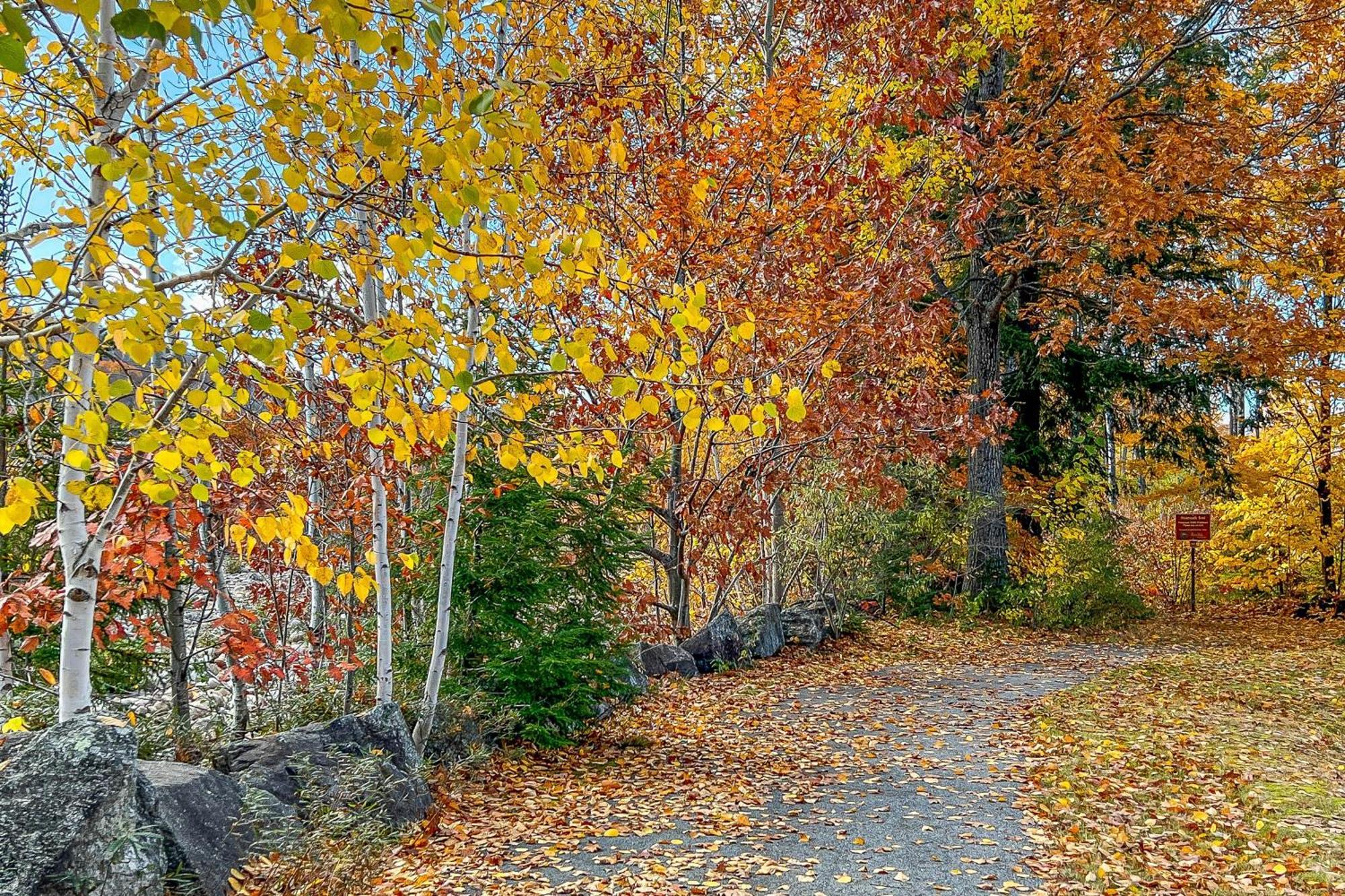 Autumn Colors Condo At Rivergreen 林肯 外观 照片